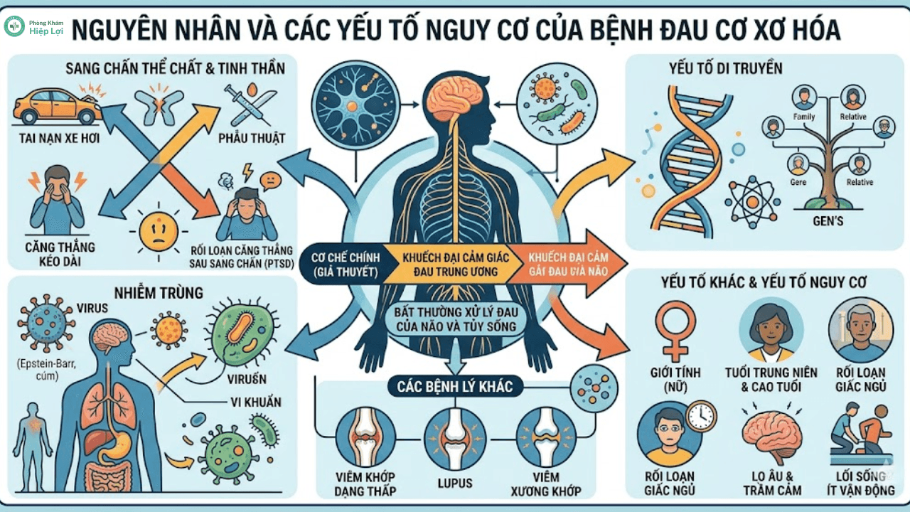 Điểm Danh 8 Triệu Chứng Đau Cơ Xơ Hóa Điển Hình Nhất Giúp Nhận Biết Bệnh - Phòng khám Hiệp Lợi