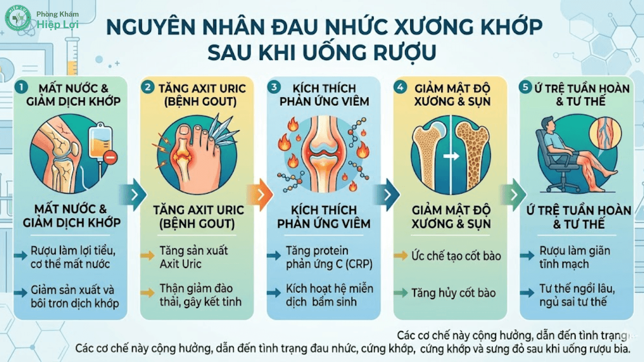 Đau Mỏi Khớp Sau Khi Uống Rượu: Cảnh Báo Nguy Hiểm & Cách Phòng Tránh - Phòng khám Hiệp Lợi